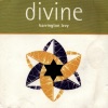 Divine, 2010