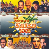 Los Mejores de la Salsa 2005