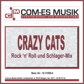 Rock'n'Roll Und Schlager-Mix artwork