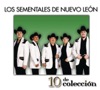 10 de Colección: Los Sementales de Nuevo Leon