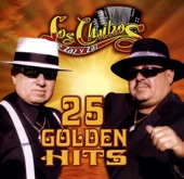 25 Golden Hits, 2010