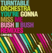 You're Gonna Miss Me (Bush II Bush Remixes) - EP