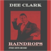 Raindrops (The Hits Book) artwork