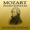 Solo Piano Classics - Piano Sonata No. 12 in F major, K. 332, III. Allegro Assai