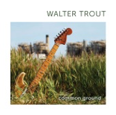 Walter Trout - Song For My Guitar