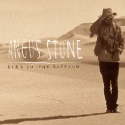 Bird On the Buffalo - Single - Angus Stone