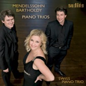 Piano Trio No. 1 in D Minor, Op. 49: Andante con moto tranquillo artwork