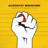 Acoustic Medicine - More To This World