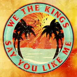 Say You Like Me (Radio Mix) - Single - We The Kings