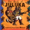 The Best of Juluka, 1991