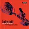 Labyrinth - Daedalus Project, 2001