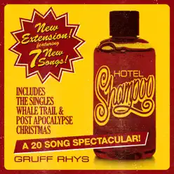 Hotel Shampoo (Special Edition) - Gruff Rhys
