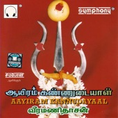 Punnainallur Maariyamma artwork