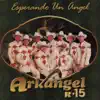 Esperando un Angel album lyrics, reviews, download