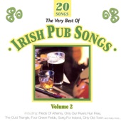 The Very Best of Irish Pub Songs, Vol 2 artwork