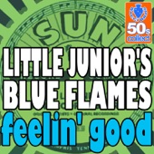 Junior Parker & His Blue Flames - Feelin' Good (Digitally Remastered)