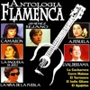 Antologia Flamenca