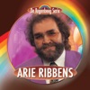 De Regenboog Serie: Arie Ribbens, 2008