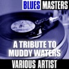 Bo Diddley - I'm a Man