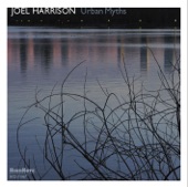 Joel Harrison - High Expectation Low Return