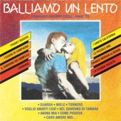 Balliamo un Lento artwork