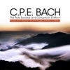 C.P.E. Bach: The Flute Sonatas and Concerto In D Minor