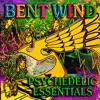 Psychedelic Essentials, 2011