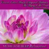 The Majesty of the Veena - Classical Indian Music for Sleep and Meditation (Feat. Gayatri Govindarajan) album lyrics, reviews, download