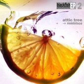 To Let Go by Attic Tree