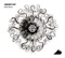 Body And Zeuhl - Zanussi Five lyrics