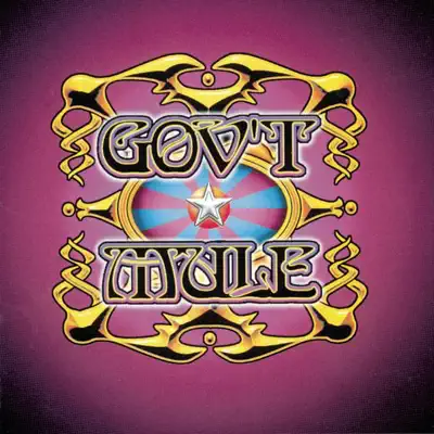 Live...With a Little Help from Our Friends - Gov't Mule