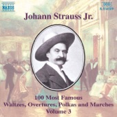 Strauss II: 100 Most Famous Works, Vol. 3 artwork