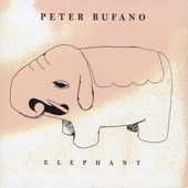 Peter Bufano - Elephant