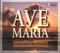 Ave Maria, WAB 6 artwork