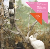 Daily Disco - Lützenkirchen- Nature One - Mission To Future