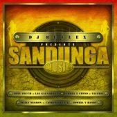 DJ Reflex Presents Sandunga Music