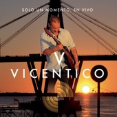 Solo un Momento (En Vivo) artwork