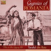 Gypsies of Romania - This is the Gypsy Life artwork