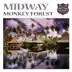 Monkey Forest (Danilo Ercole Remix) song reviews