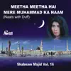 Meetha Meetha Hai Mere Muhammad Ka Naam Vol. 16 - Naats with Duff album lyrics, reviews, download