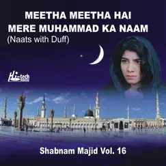 Meetha Meetha Hai Mere Muhammad Ka Naam Vol. 16 - Naats with Duff by Shabnam Majid album reviews, ratings, credits
