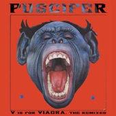Puscifer - Cuntry Boner "Disco Viagra Mix"