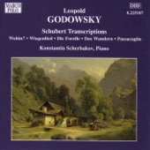 Godowsky: Schubert Transcriptions artwork