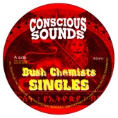 Bush Chemists - 16 Years Dub