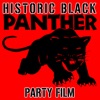 Historic Black Panther Party Film, 2008