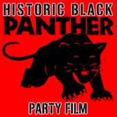 The Black Panthers - Part 1