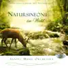 Symphony of Nature in the Forest (Natursinfonie im Wald) [Stimulating Feel-Good Music and Sounds of Nature] album lyrics, reviews, download