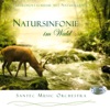 Symphony of Nature in the Forest (Natursinfonie im Wald) [Stimulating Feel-Good Music and Sounds of Nature]