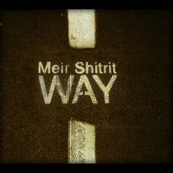 Meir Shitrit - Blue