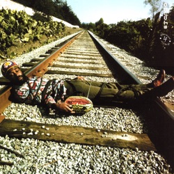 Dawan Muhammad - Tropicalia